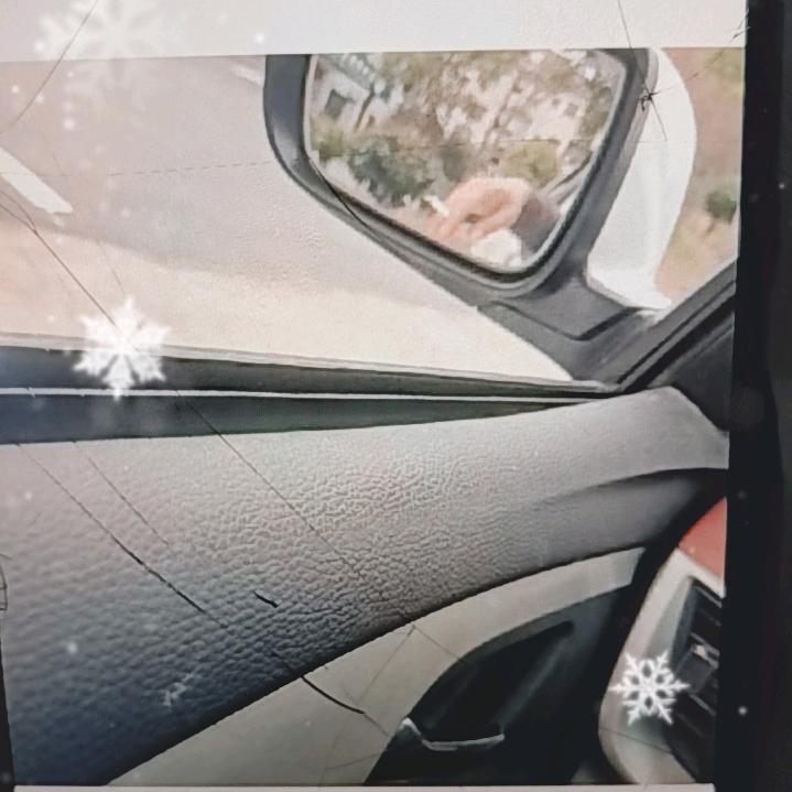 豪情