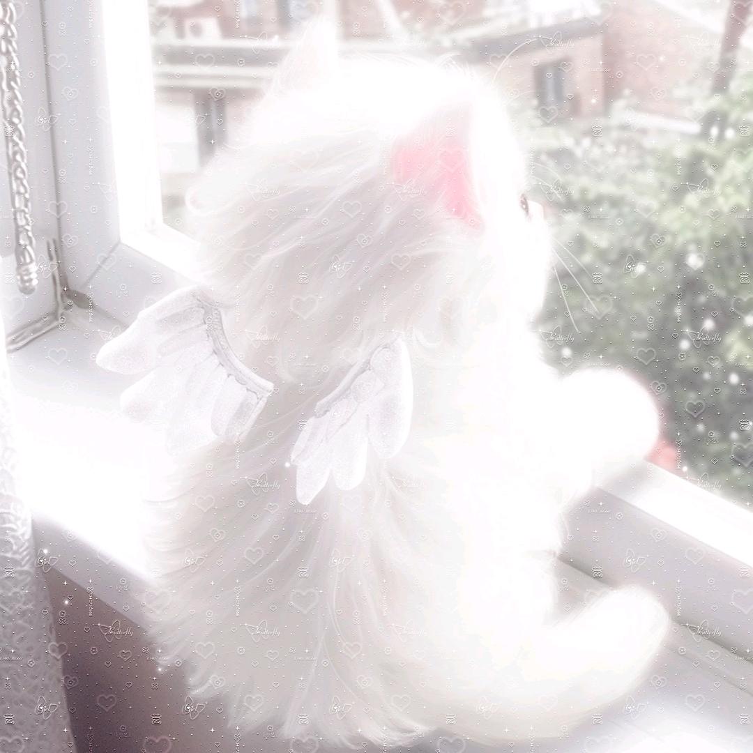 咿呀咿呀
