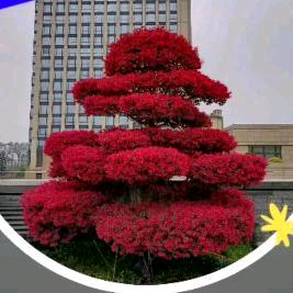 开心过好每一天（）