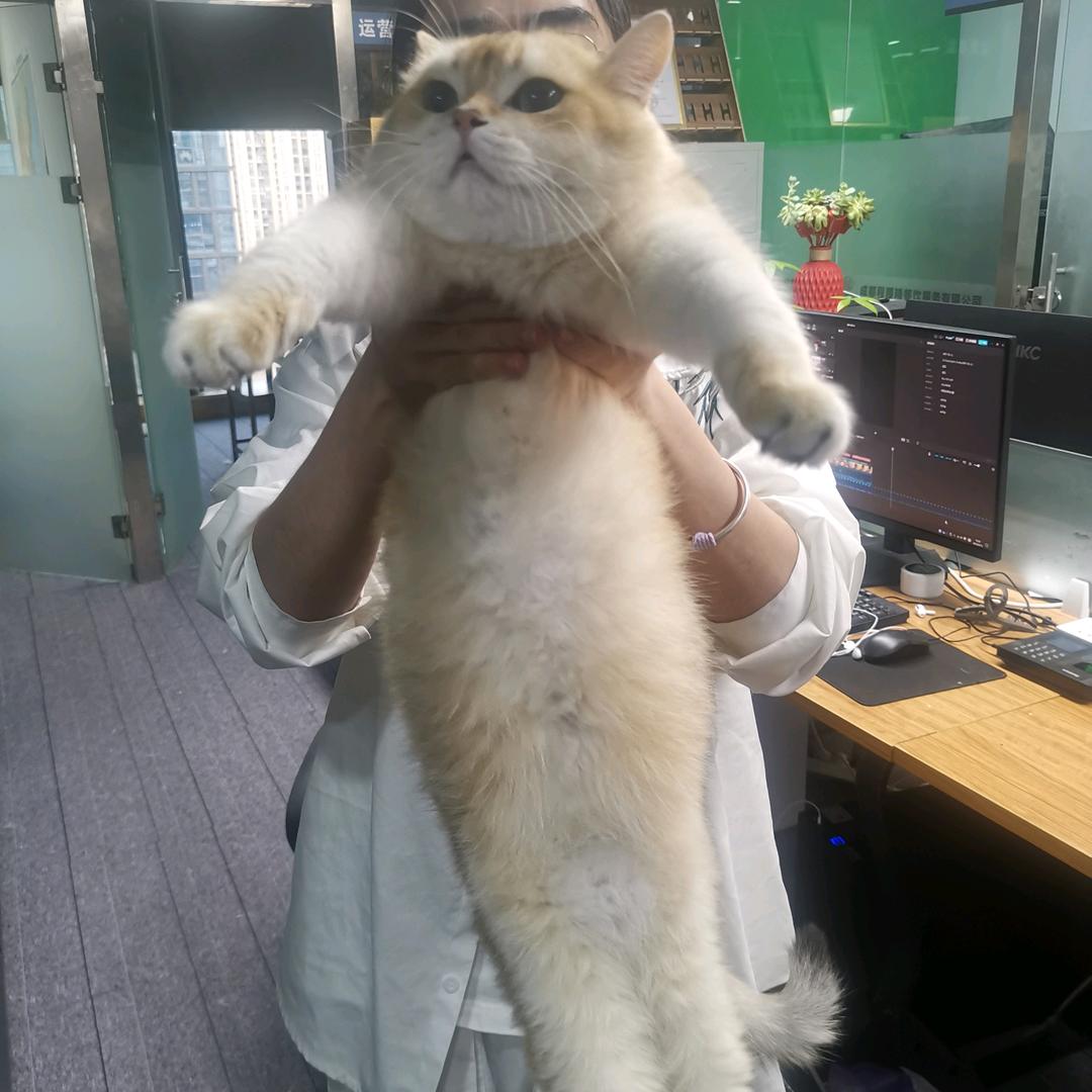 成都吃喝玩乐(找学员)