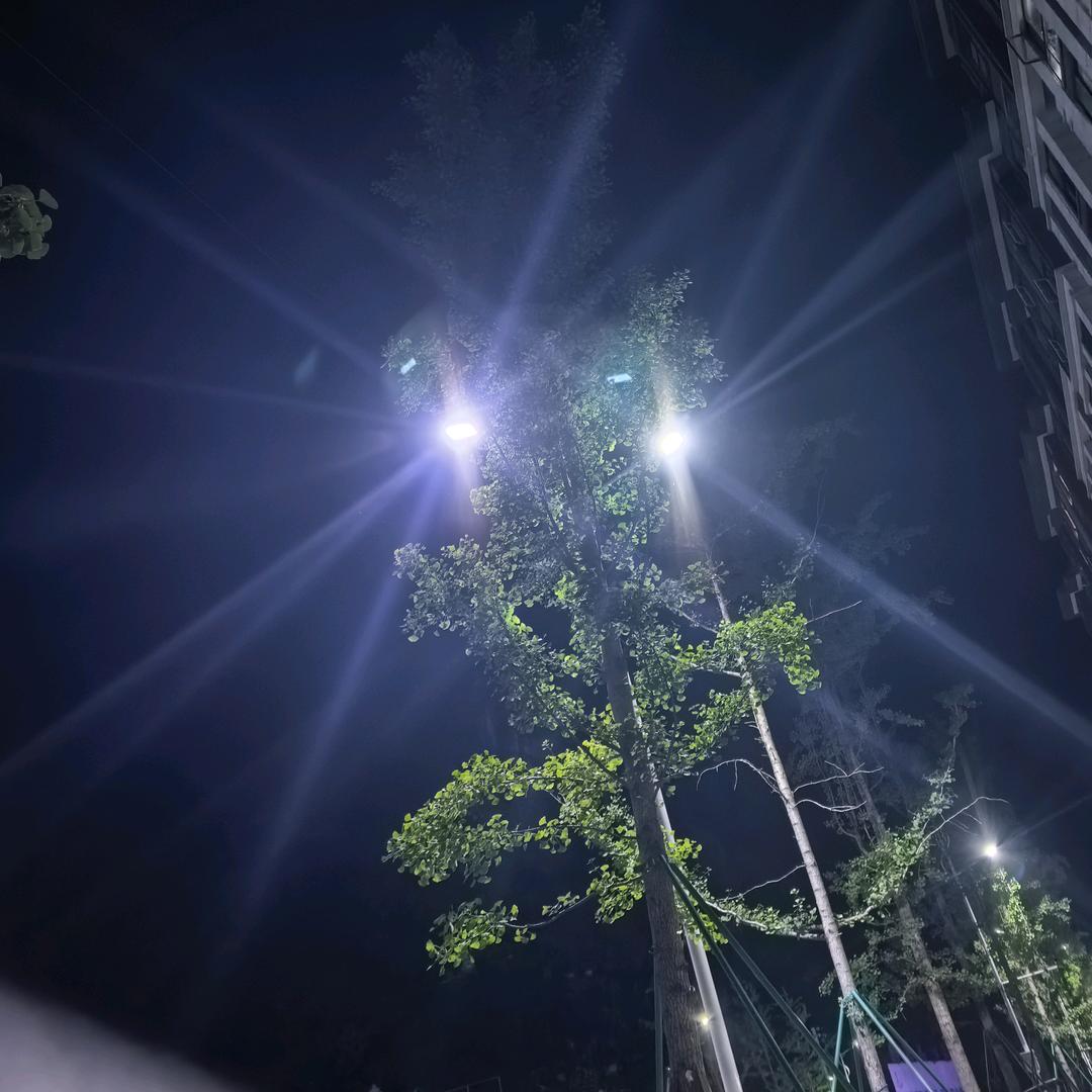 ～🦋为🌸醉 🌼