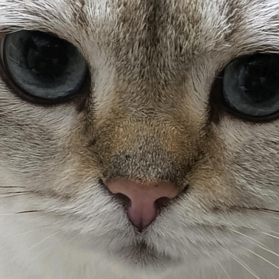 5次嗷嗷嗷