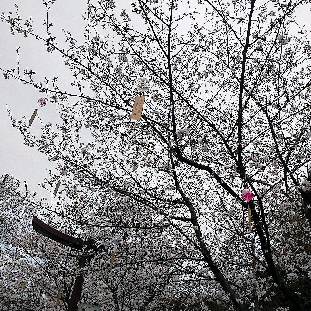 👫：露佩：（一张纸）