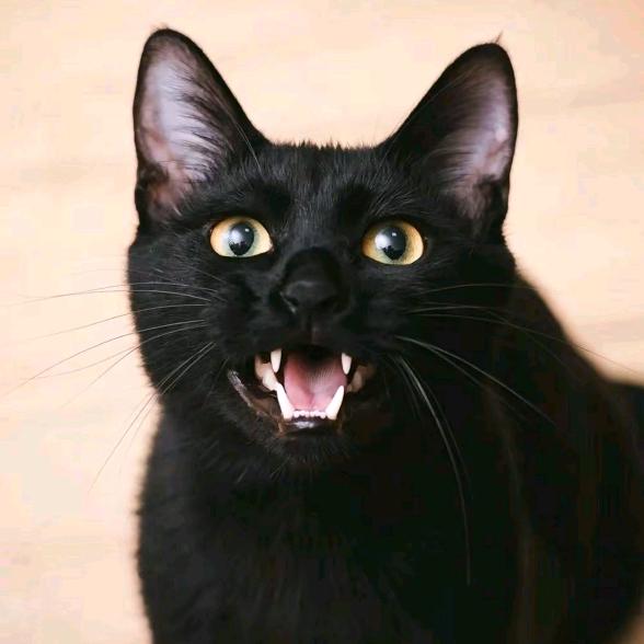 ‍🔥👹果果👹‍🔥