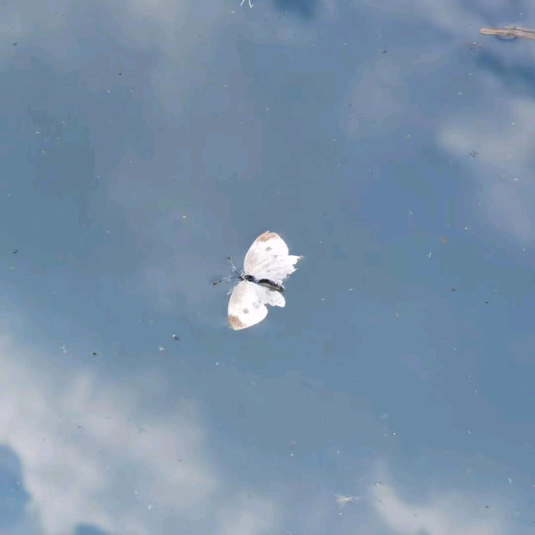 医学数据处理