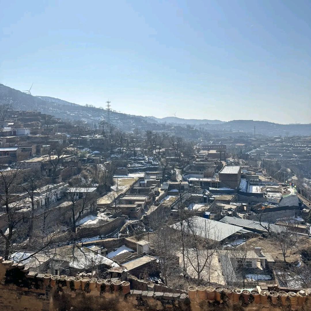 世事如梦 白茶清欢