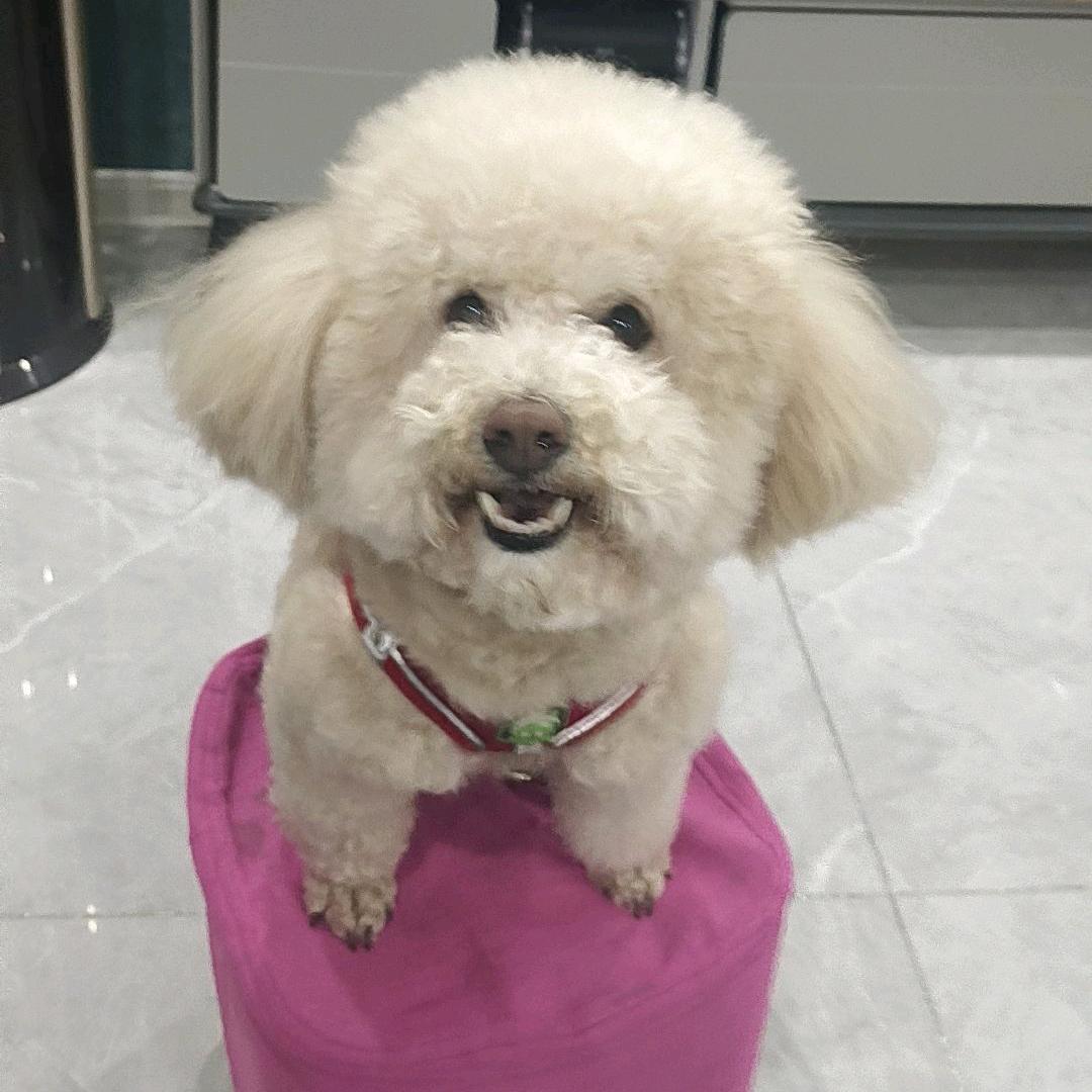 一路生花🍀🍀🌺🌺