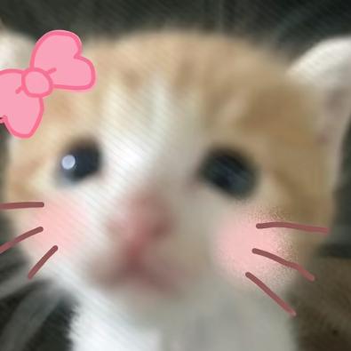 放过胡桃