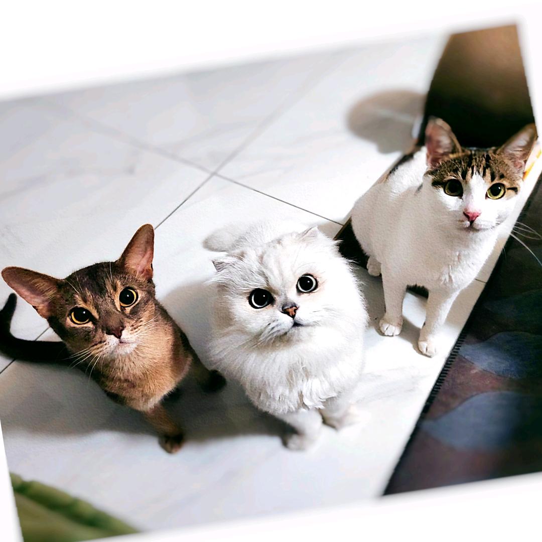 今晚就不睡觉了吧