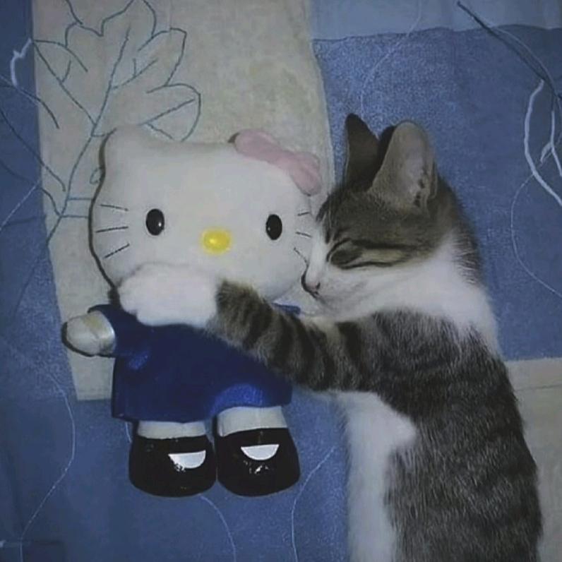 丸
