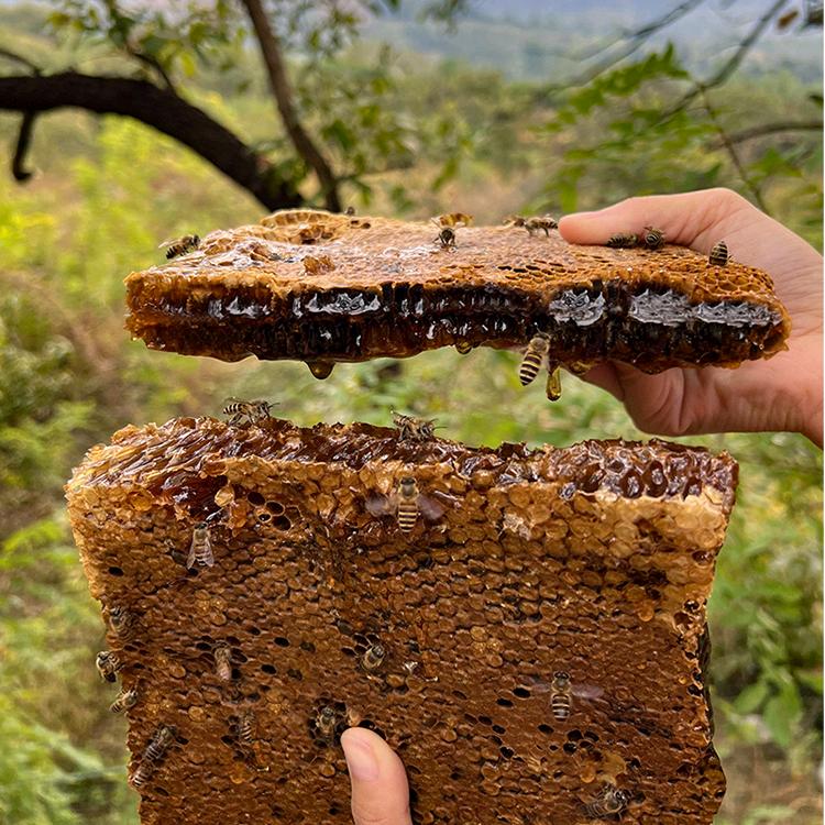 沂蒙山正宗土蜂蜜