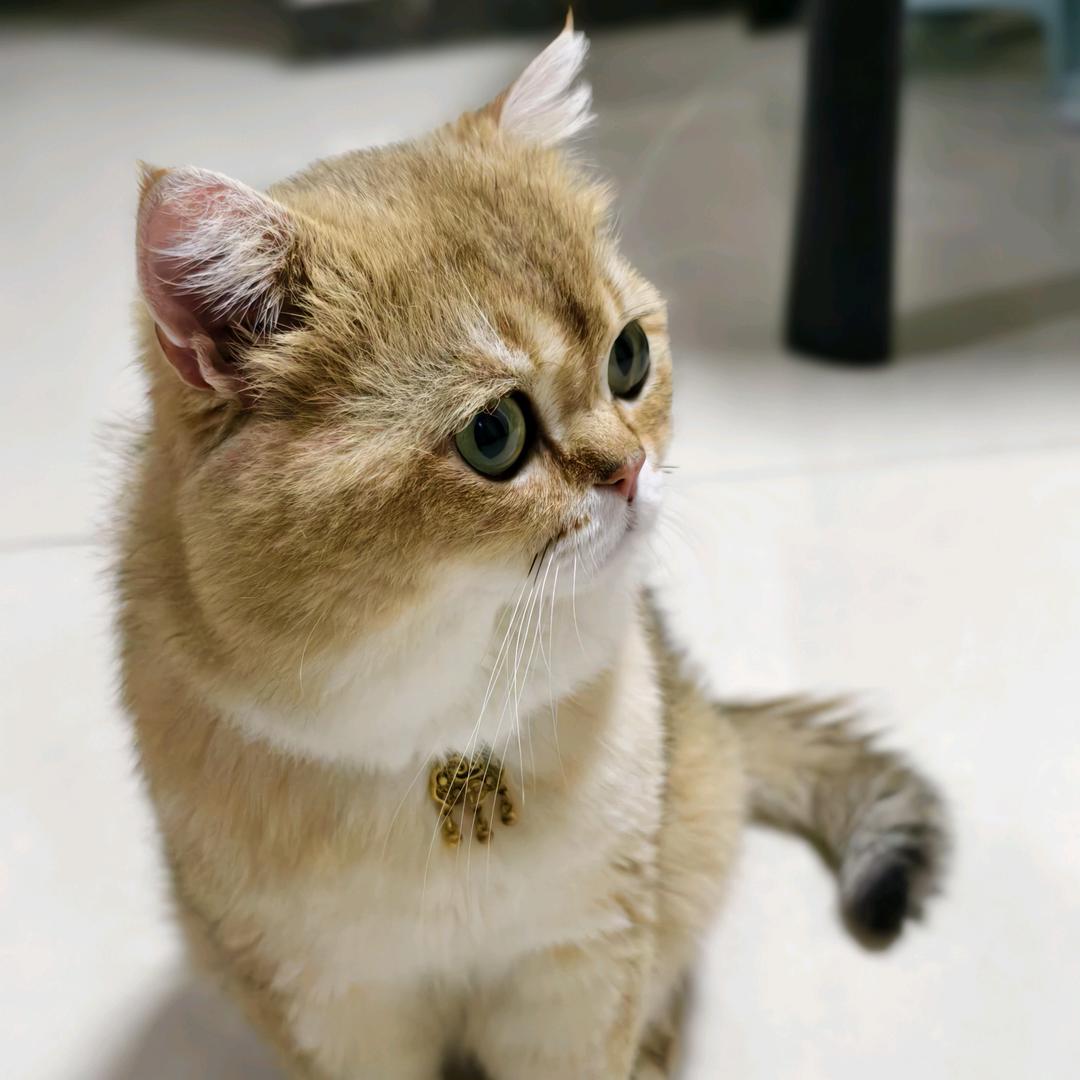 #七崽#