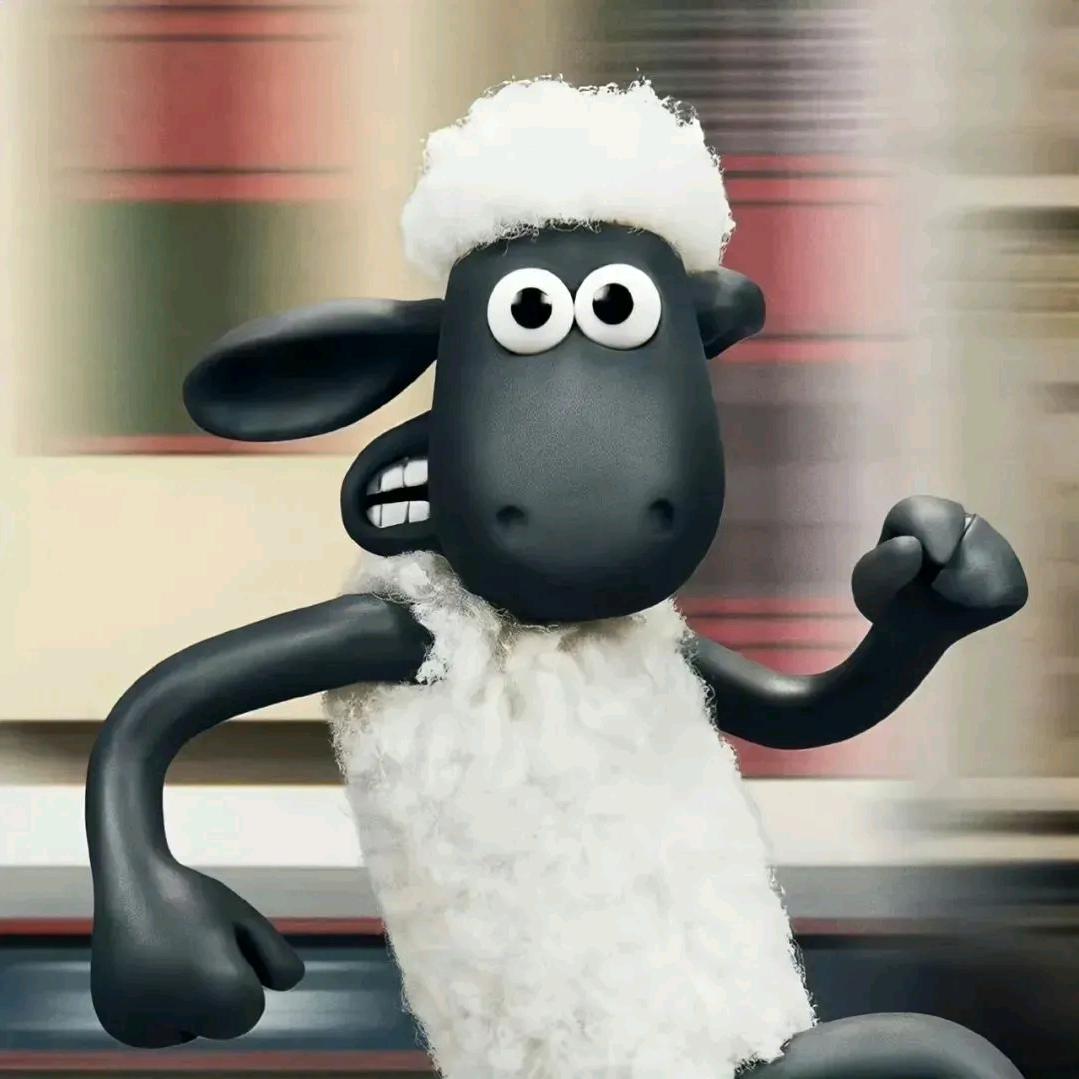 长春驾考小楊教练