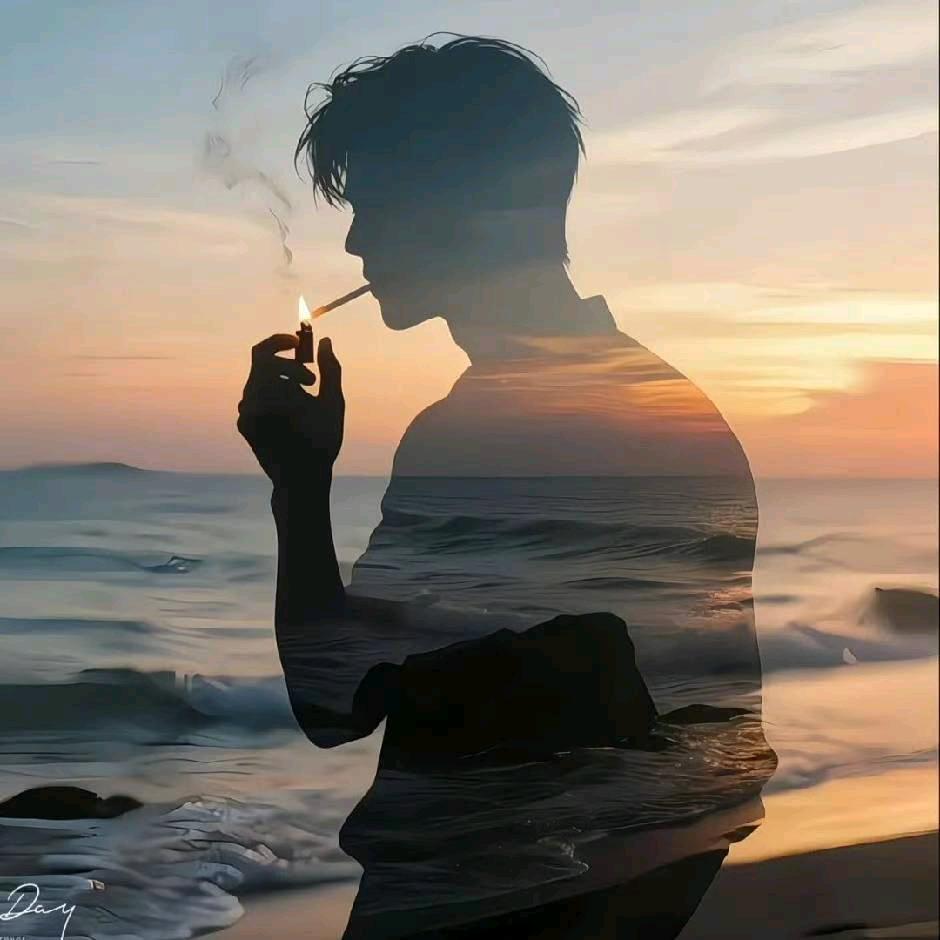 十五的月亮十六圆🌕