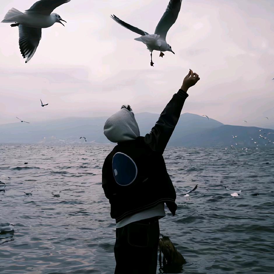 深圳市佐云欣科技有限公司宠粉号