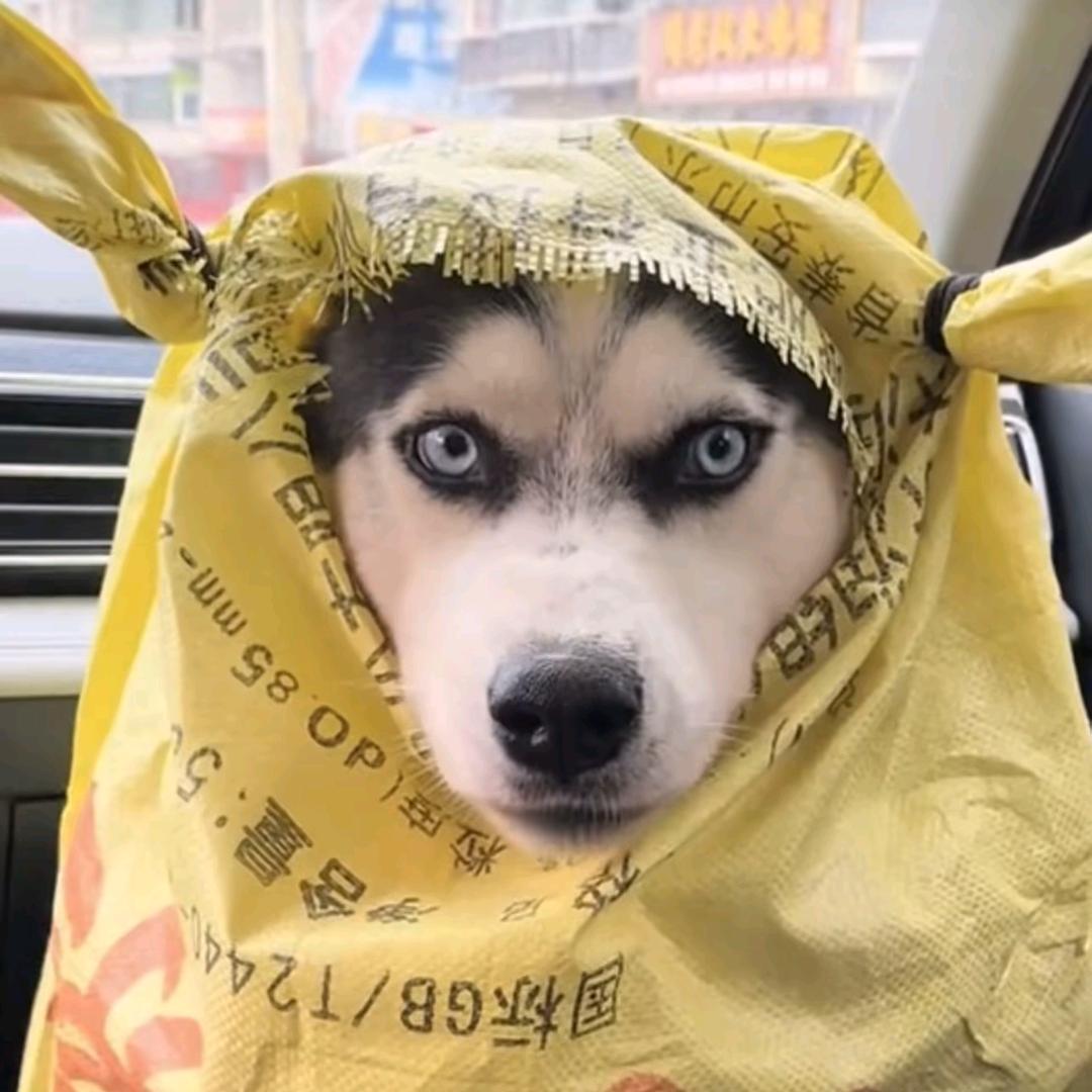 我在峡谷遛螃蟹