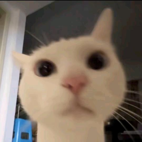 #7