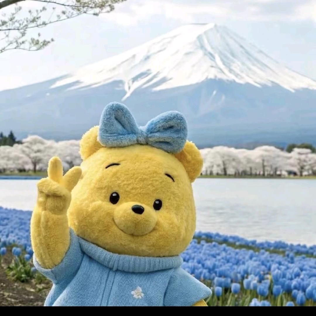 江苏医药专转本