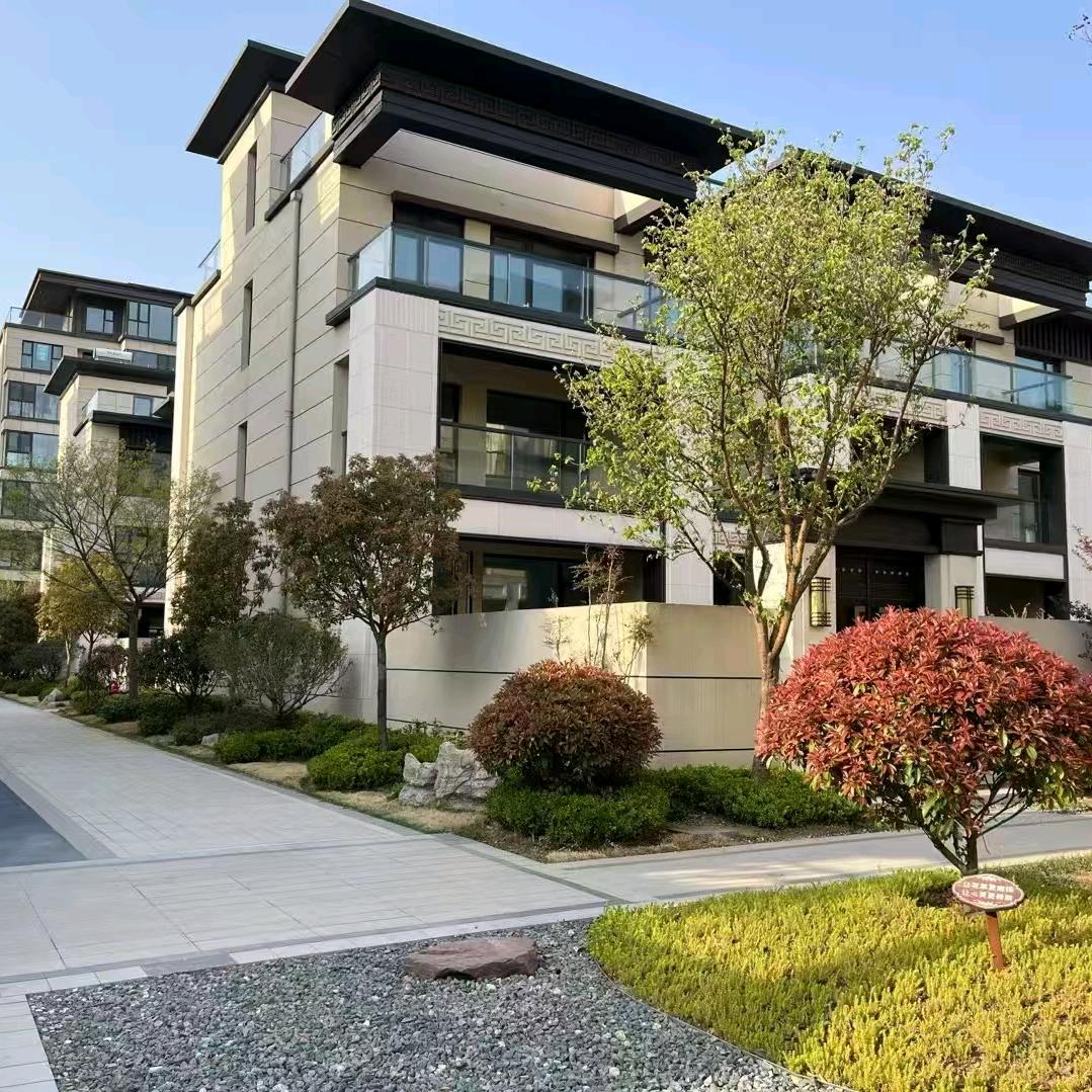 A青岛胶州水泥房 姜木