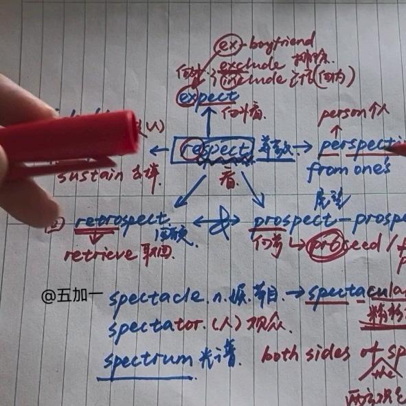五加一（背单词版）
