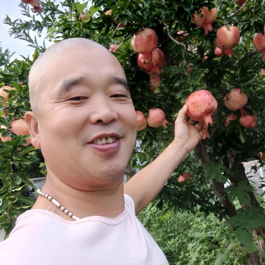 人生没有如果