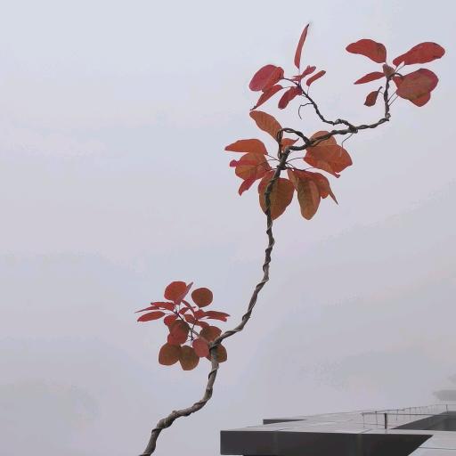 人生当如远行客，一路向山不问高。