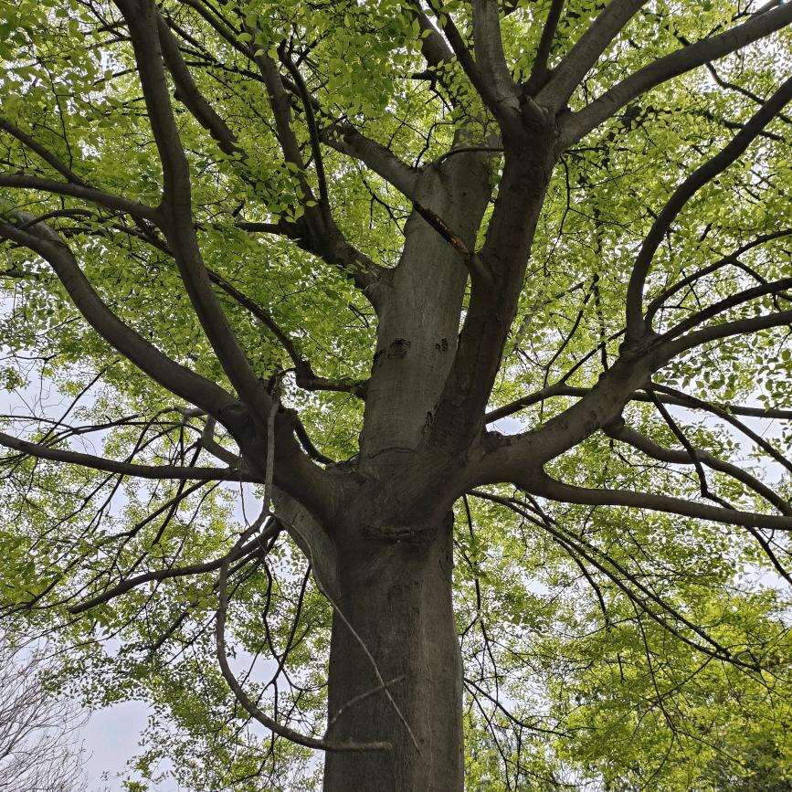 心想事成，致富