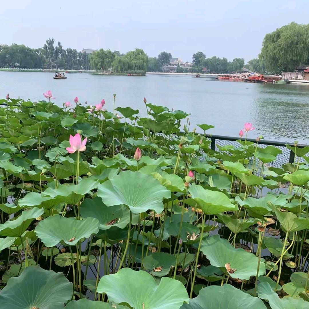 相约三月