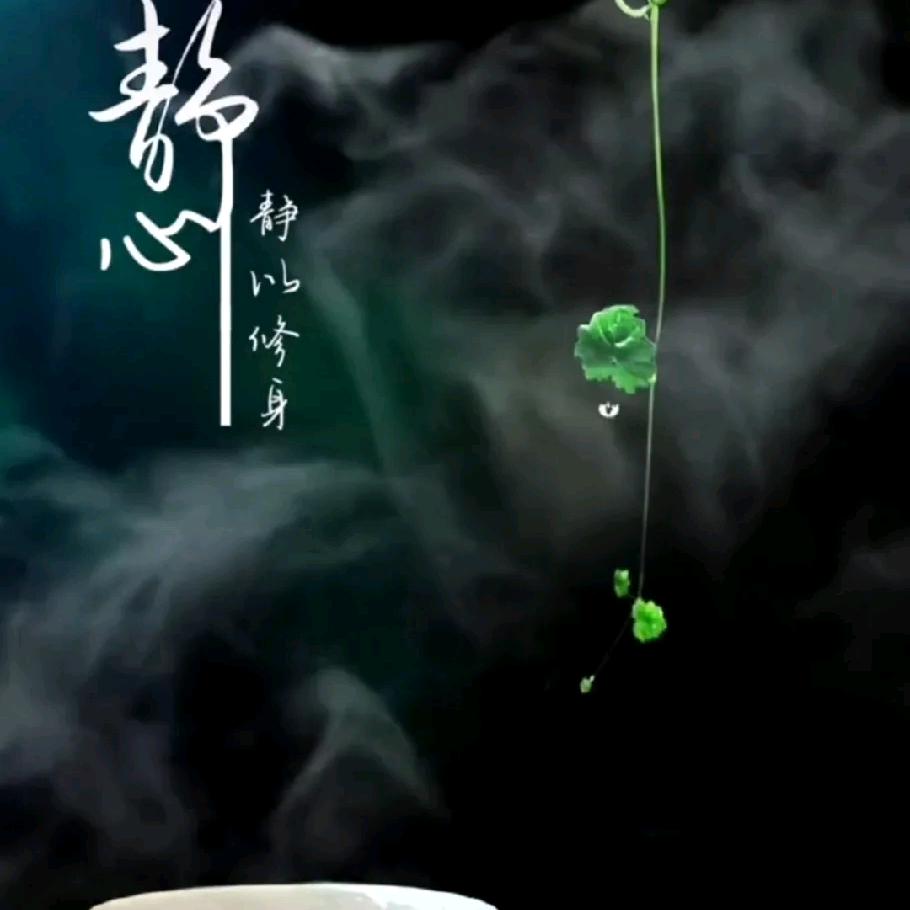 静心
