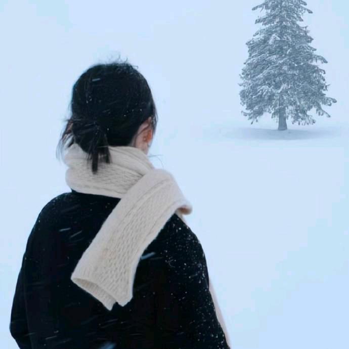 小杨没烦恼