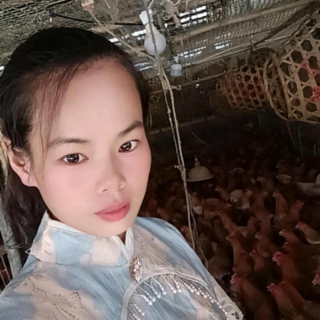 百色土鸡土鸭养殖批发小覃