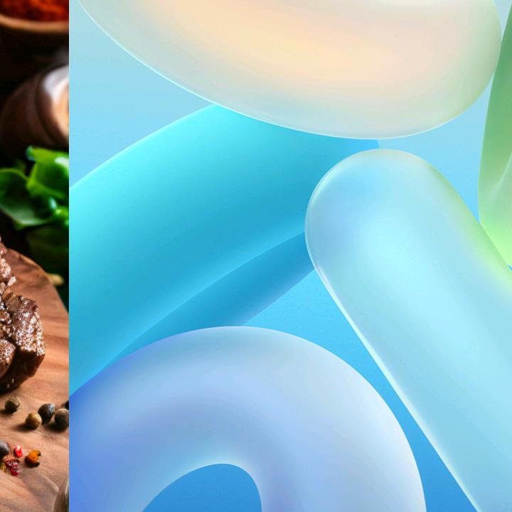 丛林中的狮子王