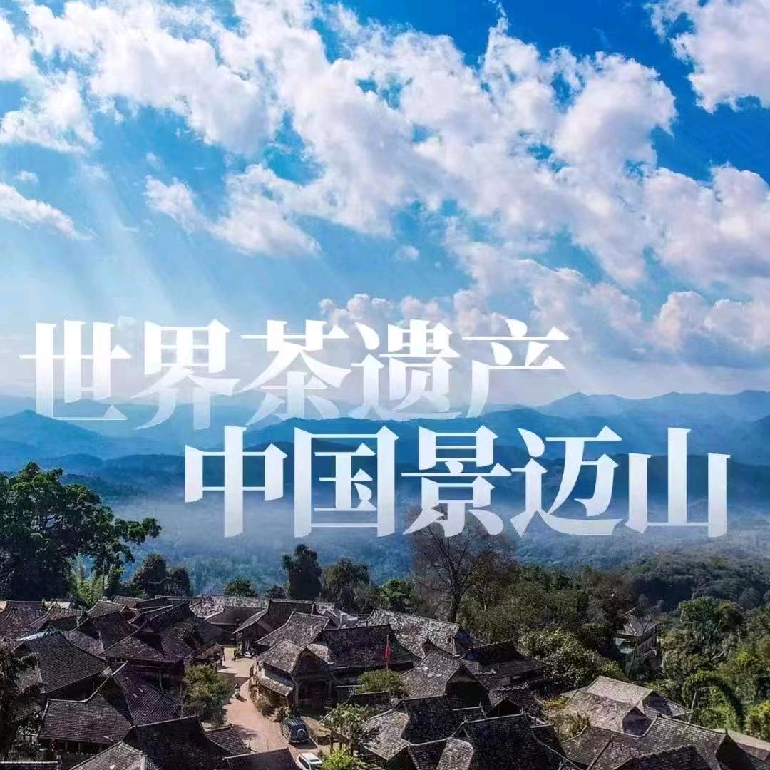 🇨🇳老村长（普洱茶）
