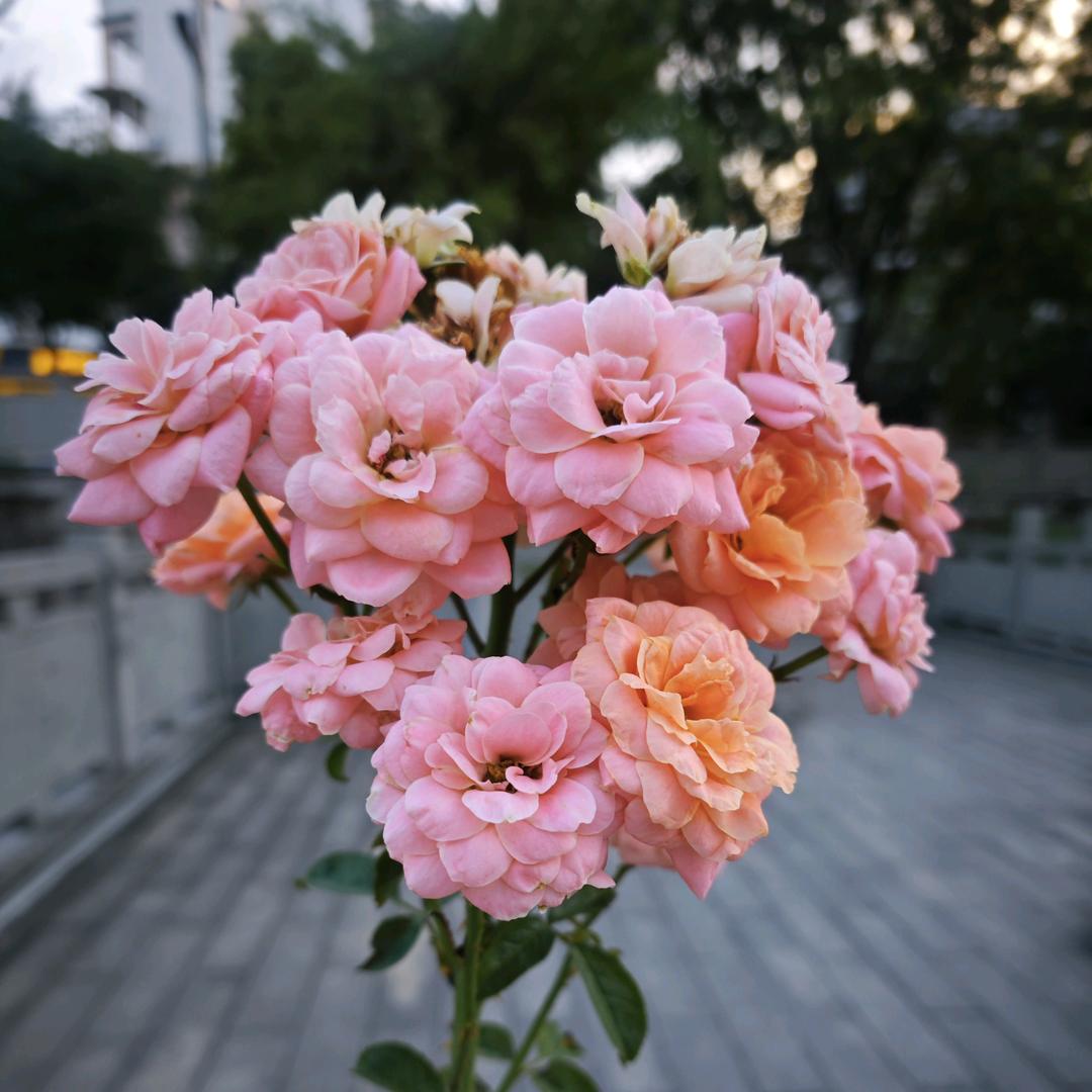 宽带网络☞小张