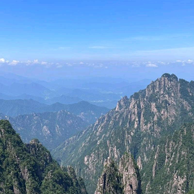 安吉拉