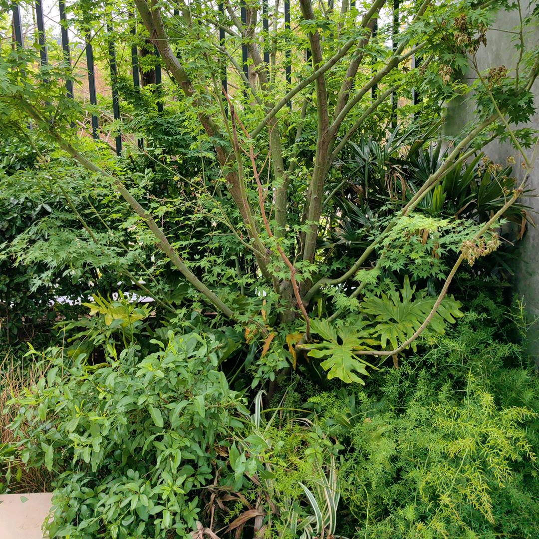 给个上票的理由