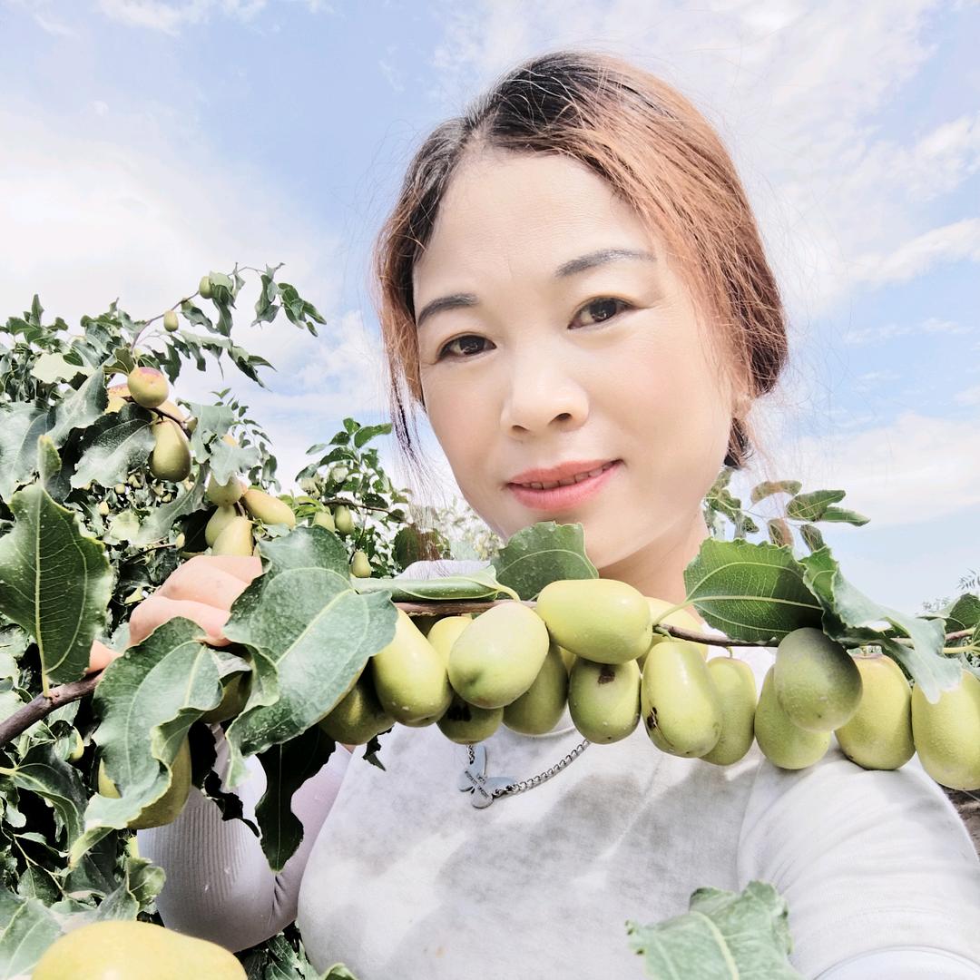 曹丽是枣农