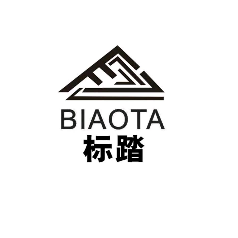 标踏运动鞋