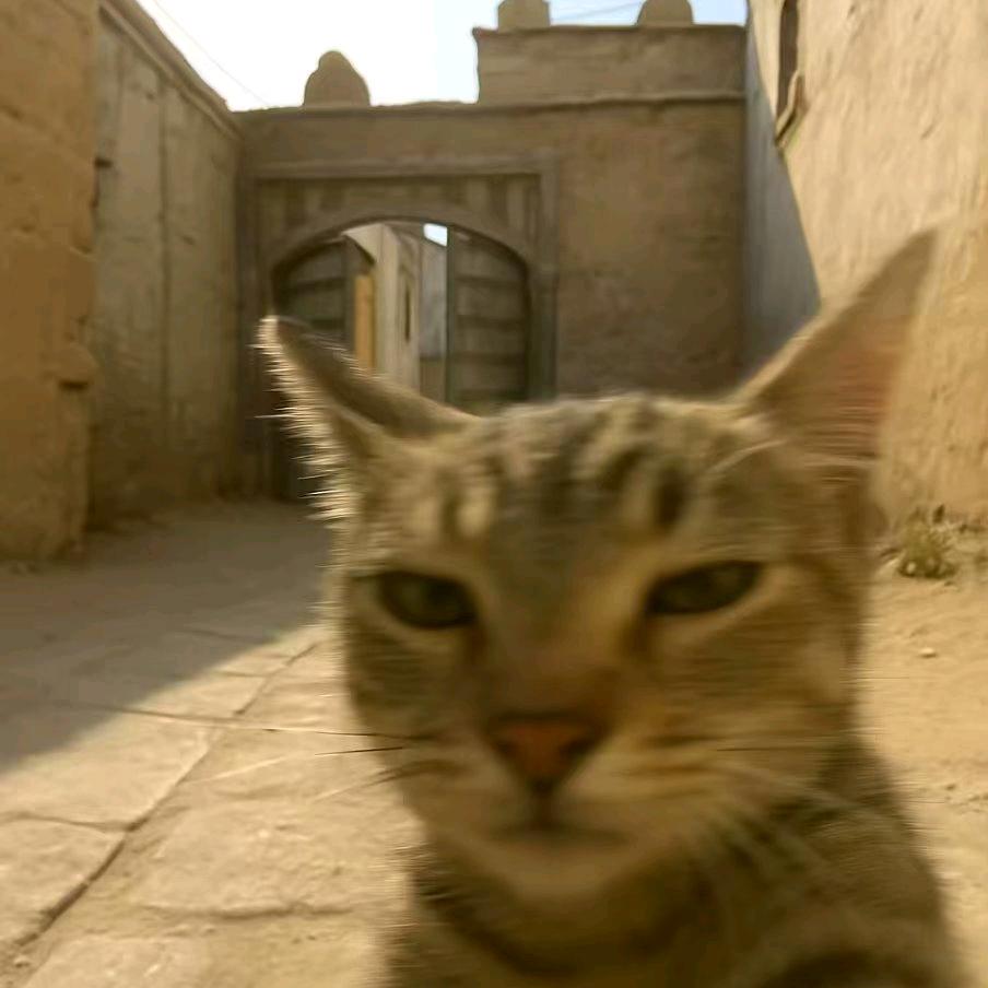 胆小怕事端木燕