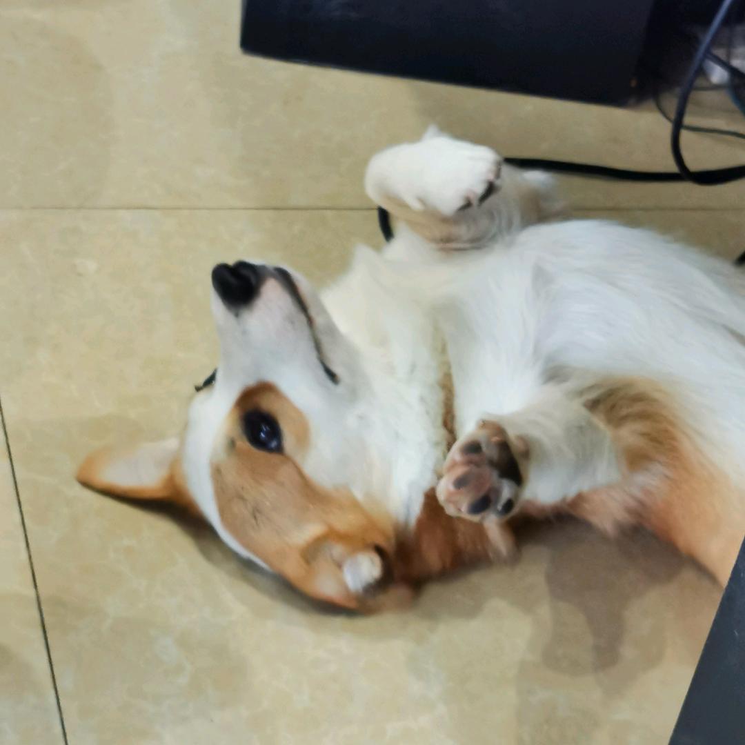 月