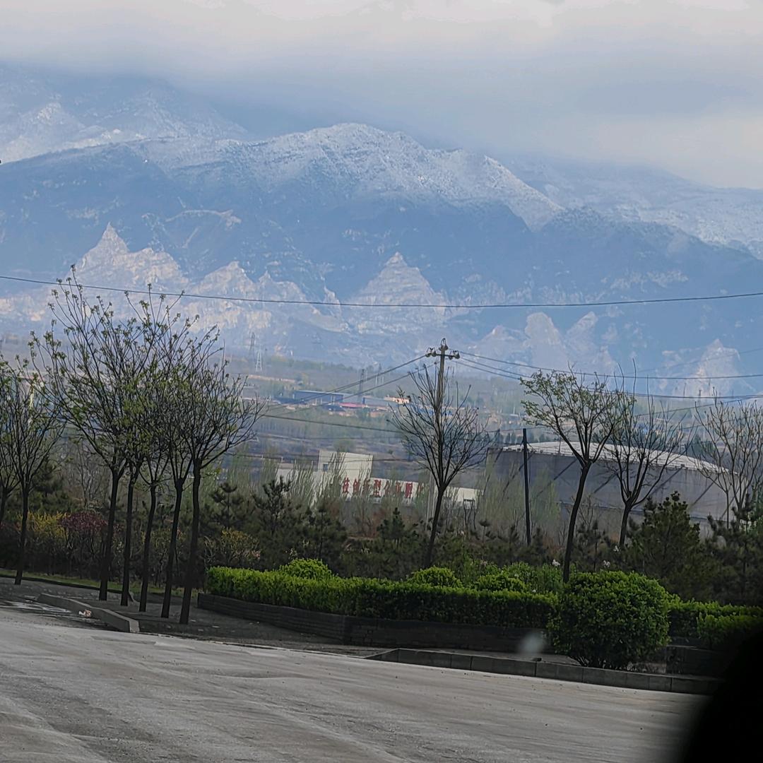 露水情缘相思如梦