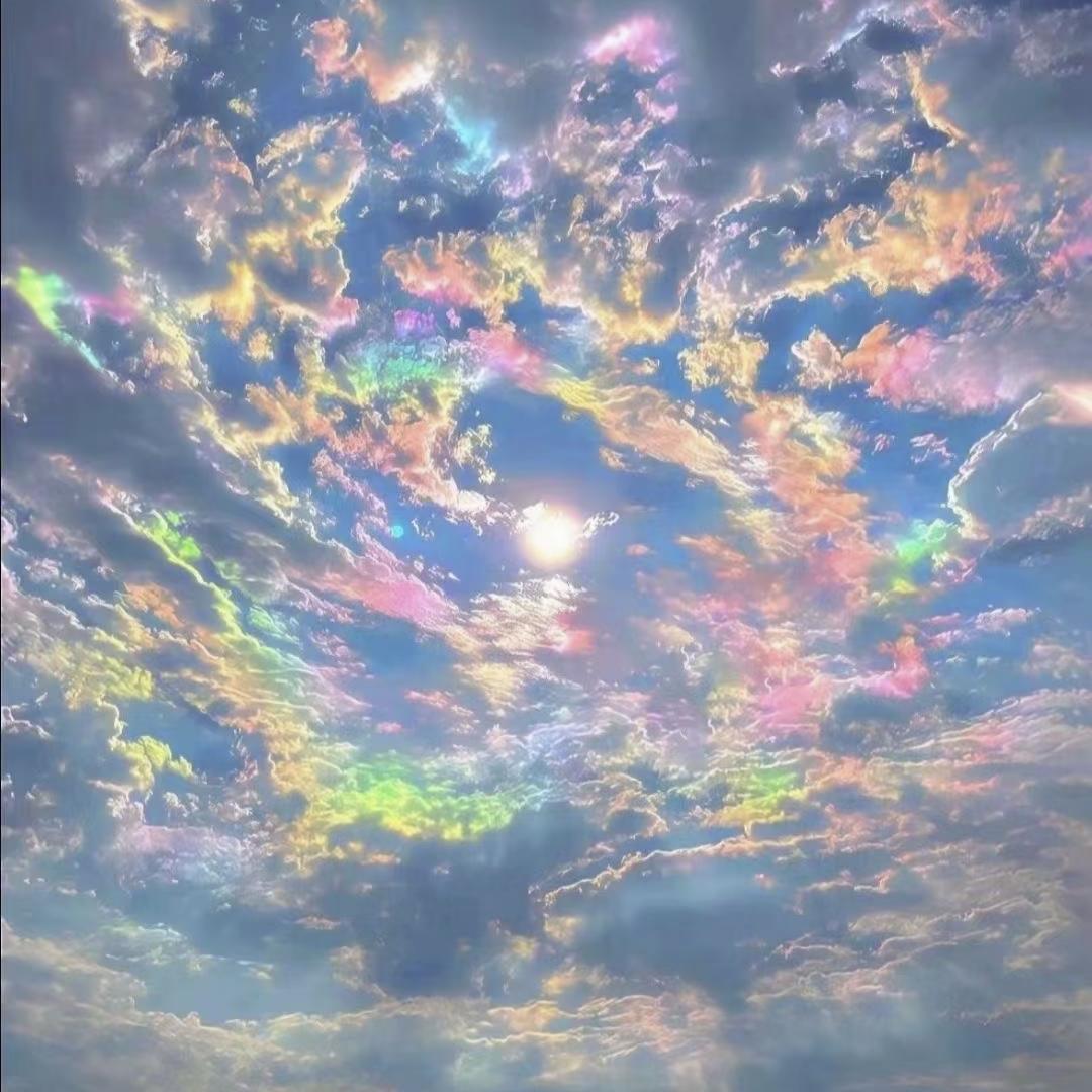 向钱飞