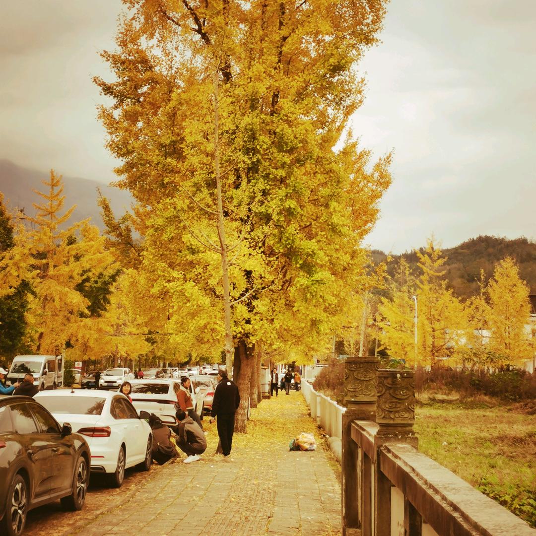 ^ ̳ට ̫ ට ̳^3721(｡•o•