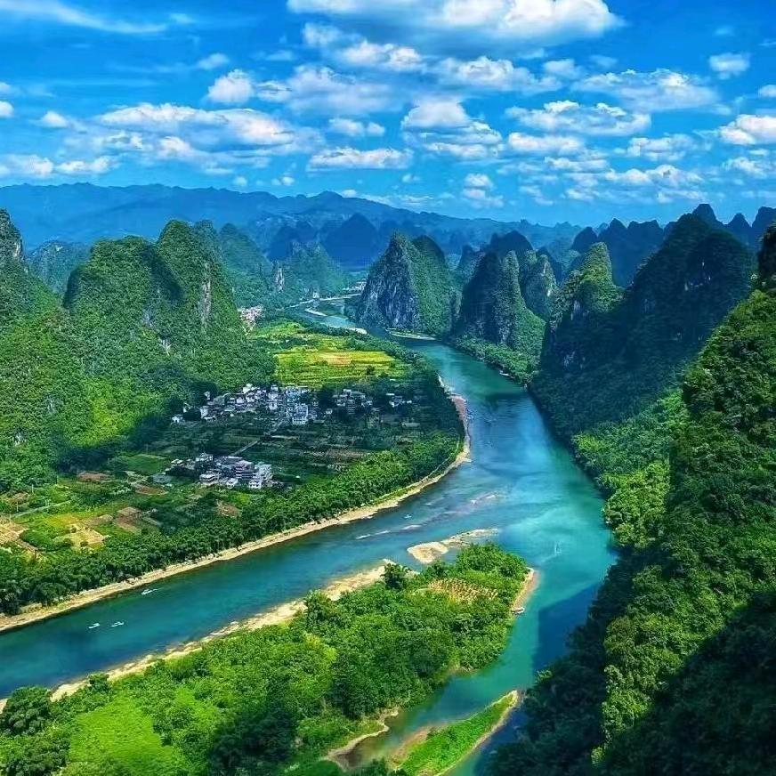 杨总