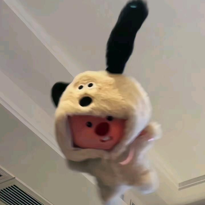 吴屁屁（WUPP）