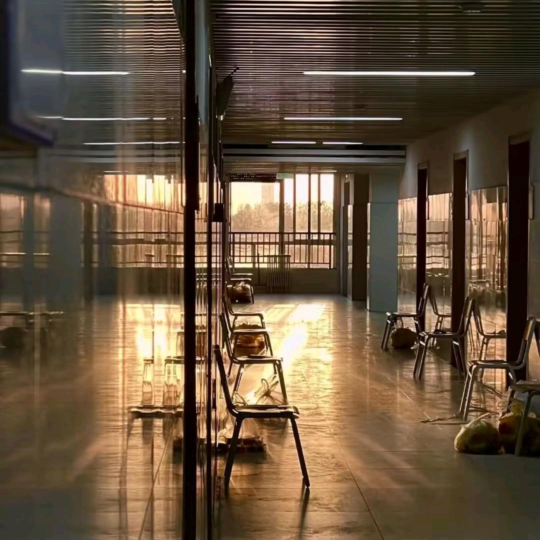 扶老蟑螂过马路被醉酒屎壳郎驾车撞飞。