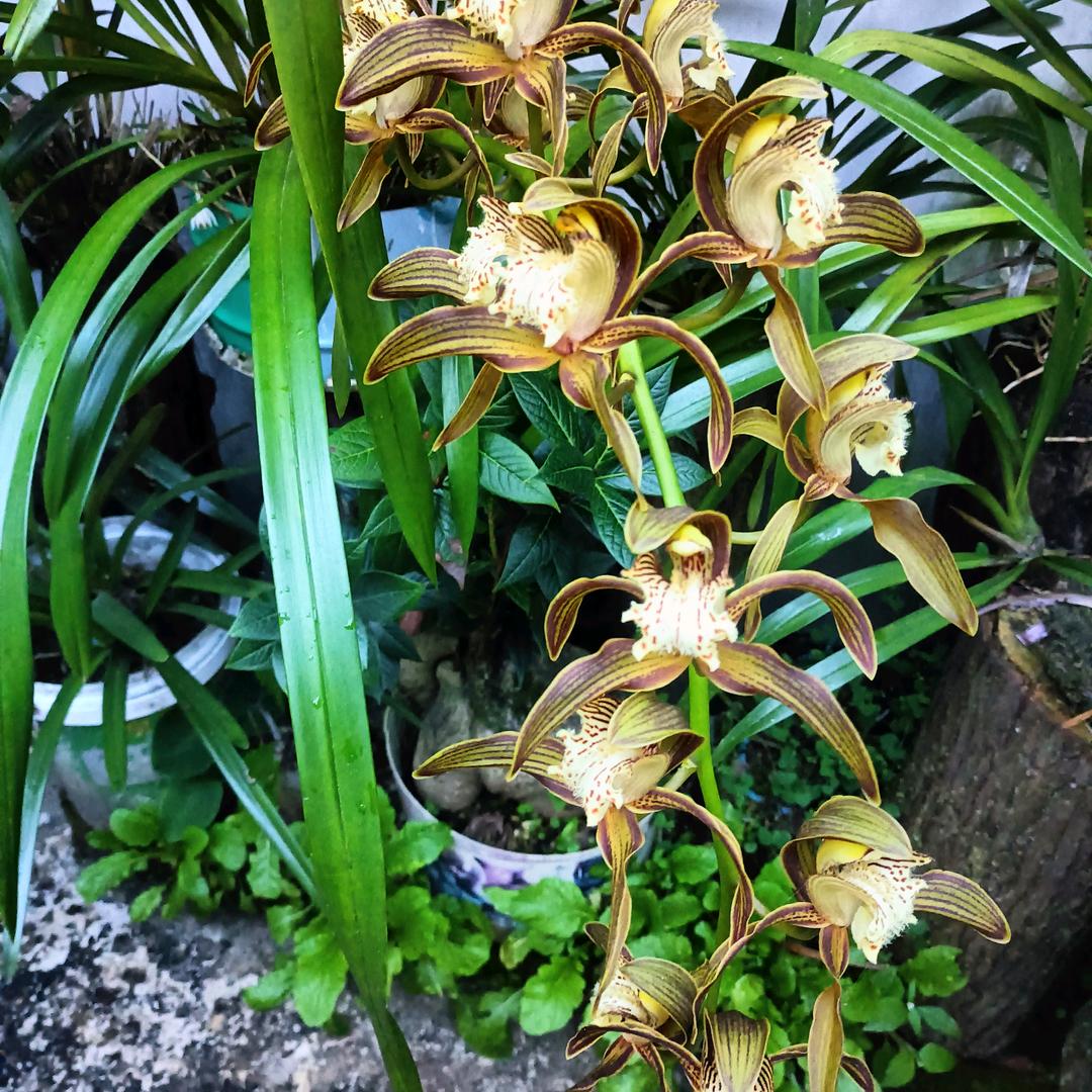 平平淡淡开心就好