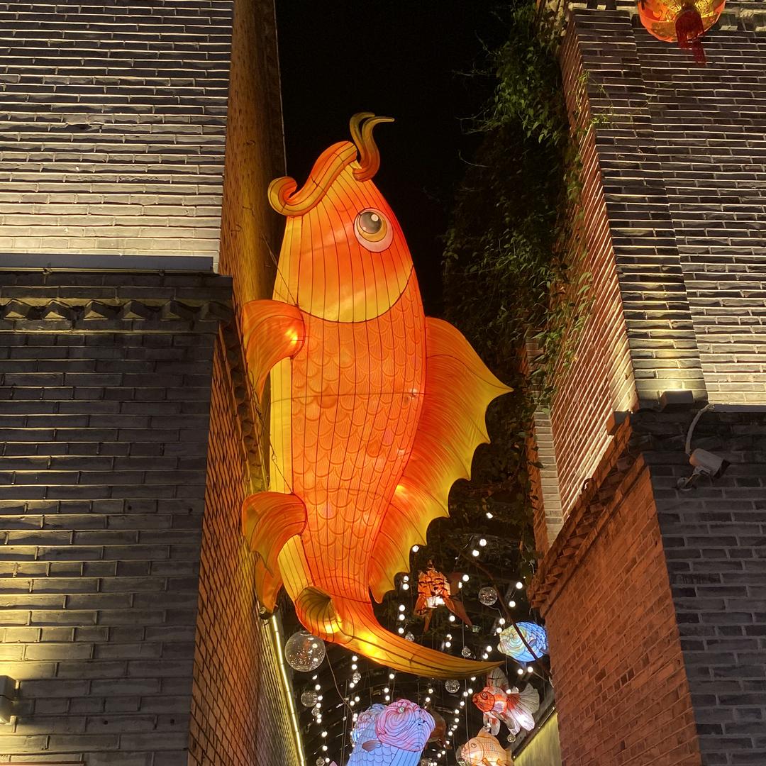 ℡安安ོ⑦