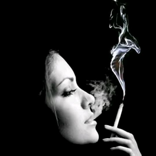 熊🐻熊！！（等你）