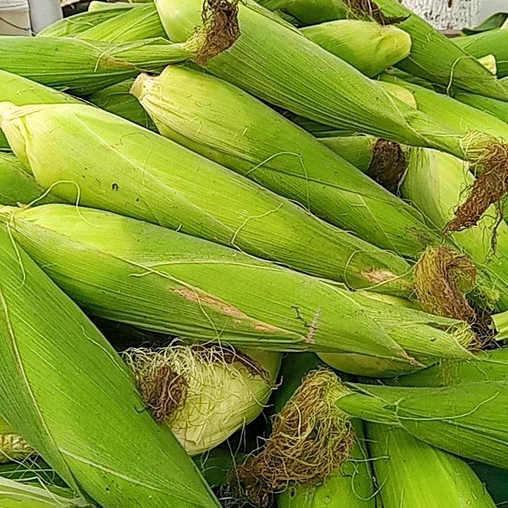 真的好想你